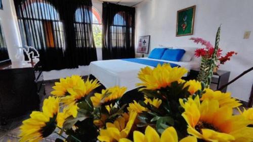 NUEVA ADM- Hotel Occidental