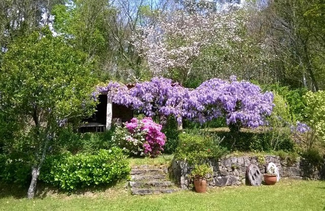 O Lughar Darriba Fogar Natural
