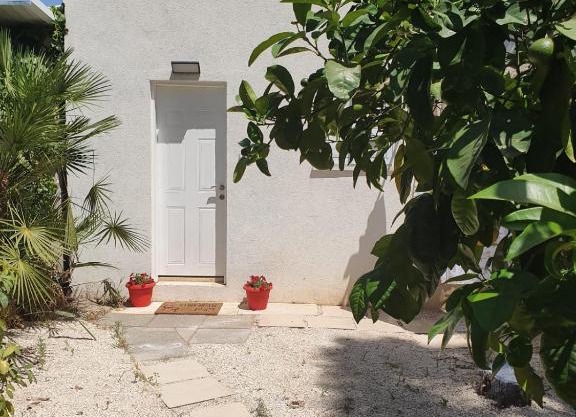 Oasis in the heart of the city