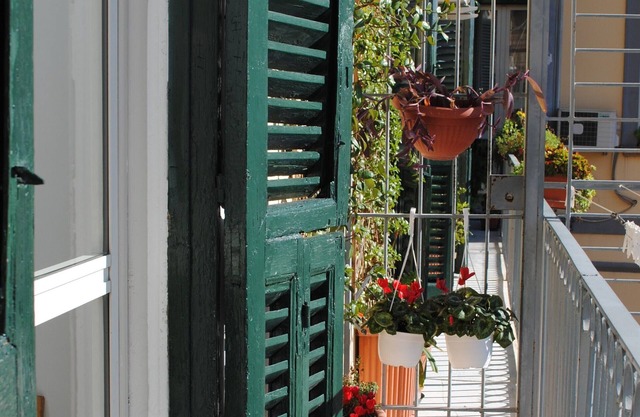 oasis of tranquility in the historic center