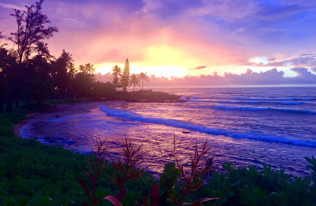 Oceanfront condo w/private lanai, amazing views & pool access - steps to beach