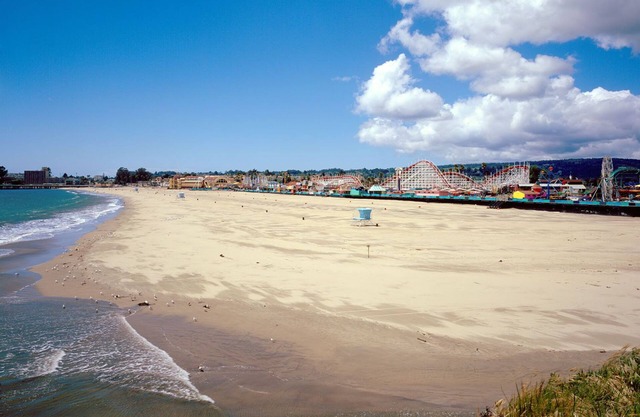 OCEANFRONT@ SANTA CRUZ BEACH *Complete Privacy* Backyard, Beach, Views, DOG OK!