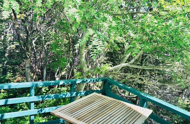 Oceanview near L'Anse aux Meadows