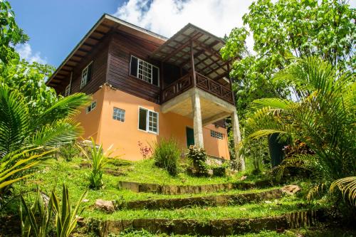 Off-grid Zen Forest Den