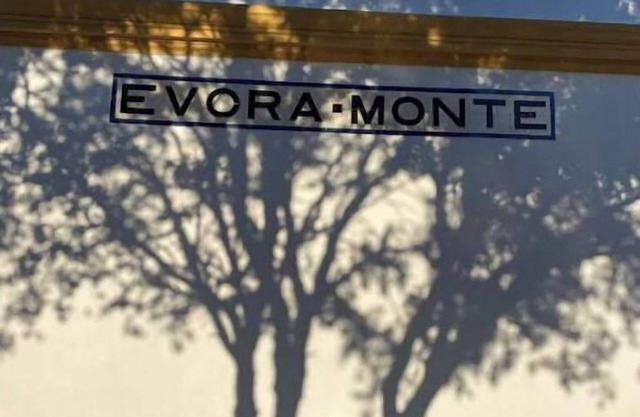 Old Railway Station in Evoramonte - House #3