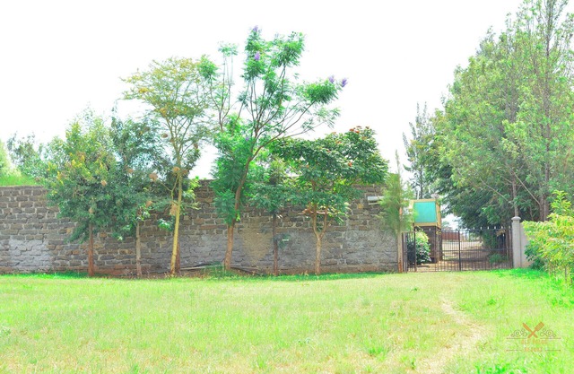 Ole Polos Resort Mogotio