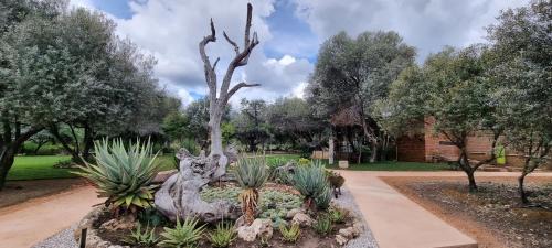 Olienhoff Guesthouse and Rest Camp