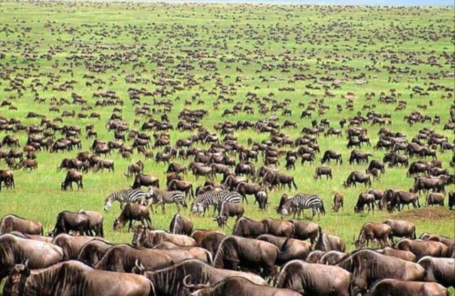 Oloiren Safari Cottage 4