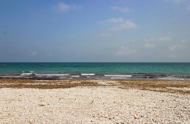 On the beach - Apartment Estrella de Mar!