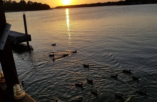 On the edge of Lake Conroe. Has Jet ski lift and boat dock, great place to fish