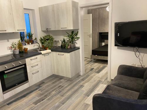 One beautiful bedroom flat in pieta