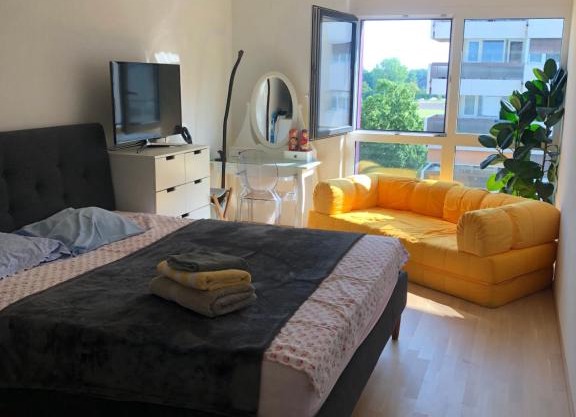 One bedroom 3pieces entire Modern Appartment close to Airport, CERN, Palexpo, public transport to the center of Geneva