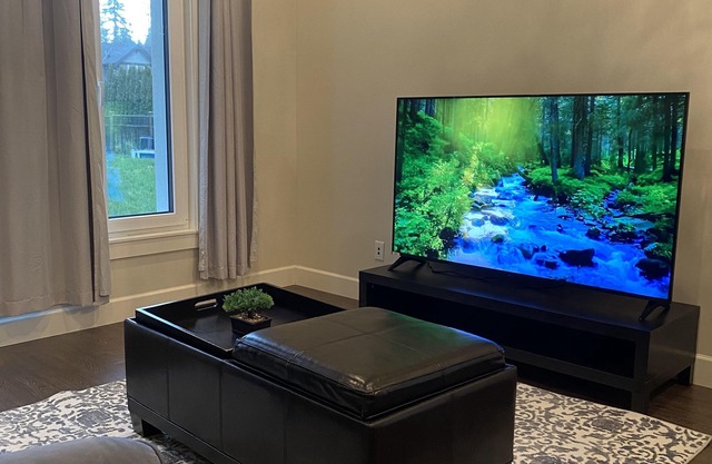 One Bedroom/bathroom side suite on main level in south Langley.