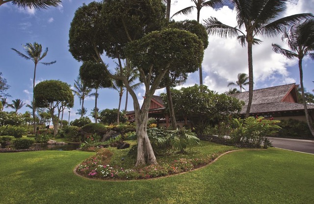 One Bedroom Oceanfront Kapa'a Suite