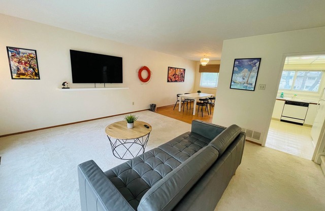 One Piece Themed Toronto Home | Pool + Wi-Fi