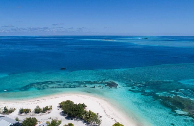 One The Island