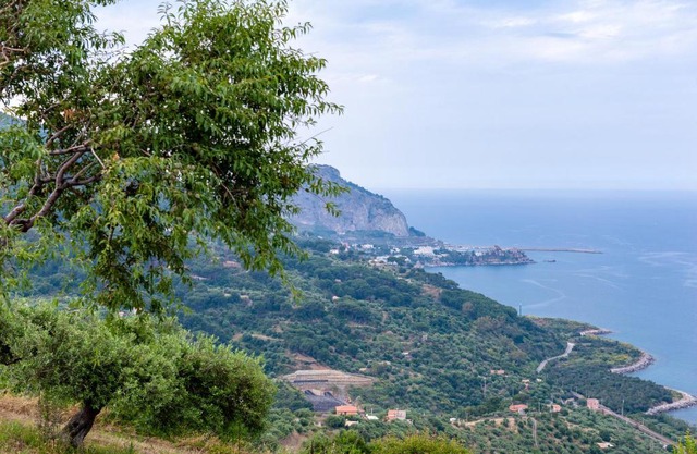 Orto Degli Ulivi