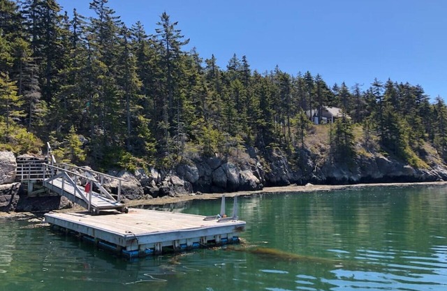 Osprey Nest on Tip Toe Mountain