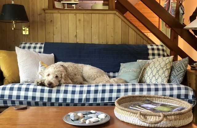 Our Pet-Friendly Cape Cod Home Away From Home