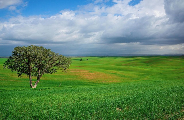 Our rooms location offers free breakfast & easy access to the Boardwalk