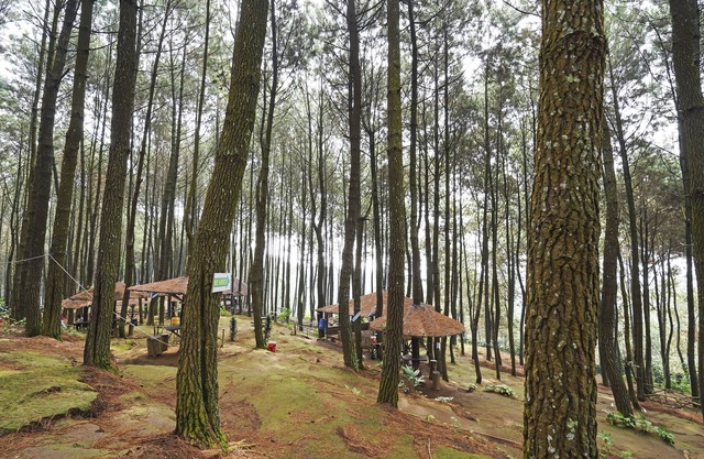 OYO Homes 90914 Eco Tourism Desa Cipada Bukit Senyum Homestay Syariah