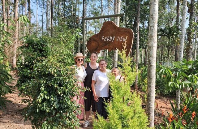 Paddy View Resort