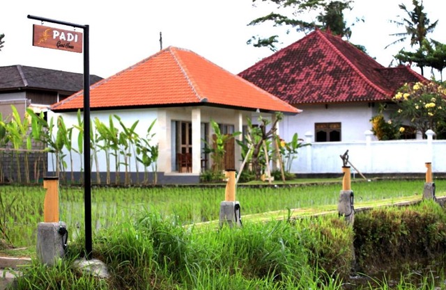 Padi guest house