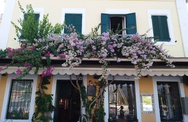 Palazzo1890 (Family Mansion)