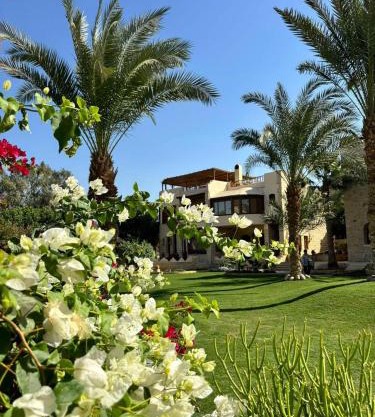palm shadow resort
