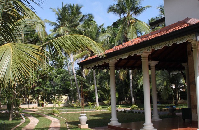 Palm trees villa . Negombo 🇱🇰