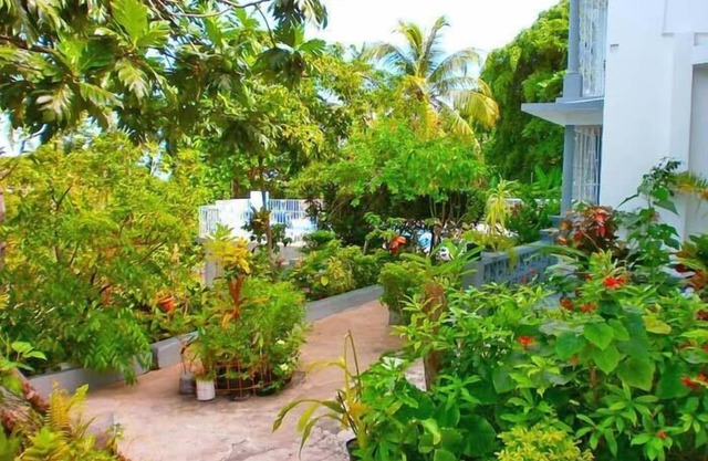 Palm View Guesthouse and Conference Centre