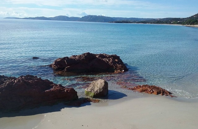 PALOMBAGGIA VILLA AIR CONDITIONED 4 PERS less than 700 meters from the beach