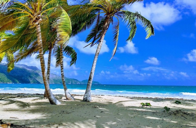 Paradise by the Sea Tropical Private Pool Villa,Playa Coson,6,NEW LIST DISCOUNT