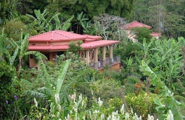 Paradise Peak -262 Five Star Reviews - Romantic Garden Villa with Jacuzzi