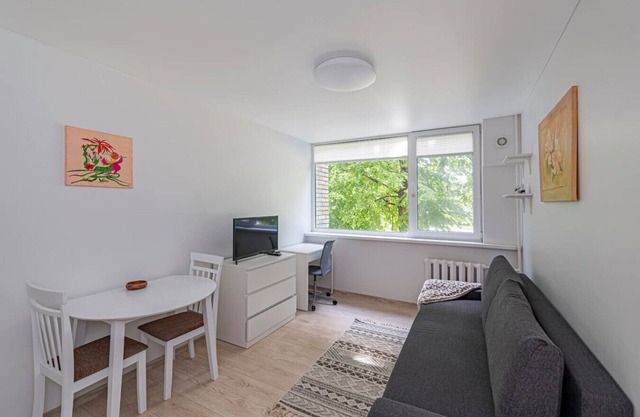 Partizanų studio ap 6 by Polo Apartments