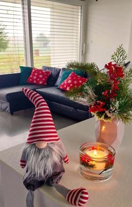 Pasivní dům uprostřed louky