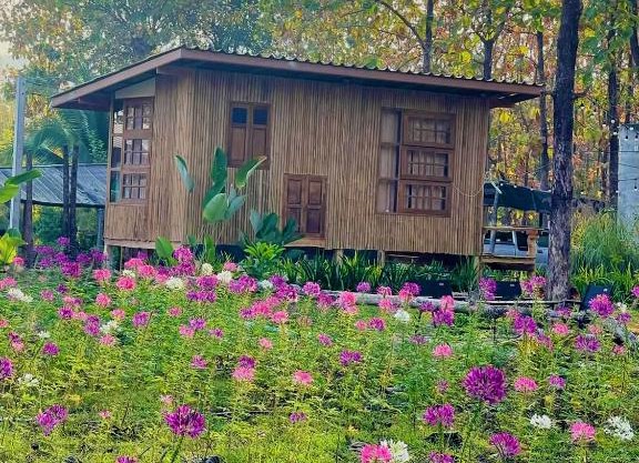 Payim farm พายิ้มฟาร์ม