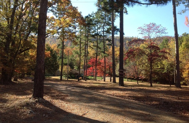 Peaceful and Private - Cozy Getaway