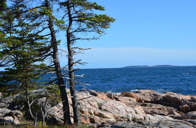 PEACEFUL/Charming home/Dog Friendly/enjoy nature & wildlife/central location