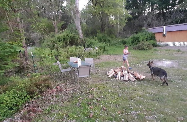 Peaceful Farmstead Cabin on Private Pond