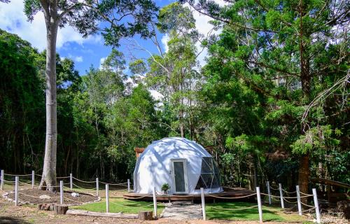 Peaceful off-grid stay surrounded by nature