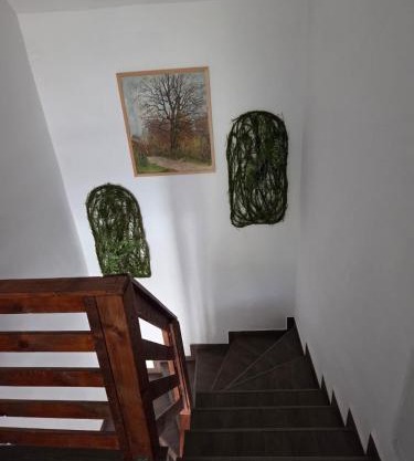 Pensiunea Gradia Șuncuiuș