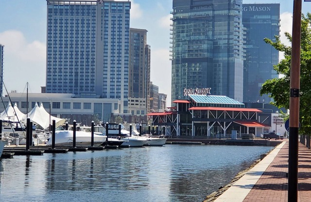 Perfect Location: Fully Furnish Elegant One Bedroom Condo at the Harborview