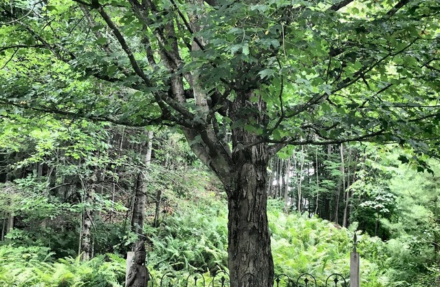 Perfect Winter Weekend Loft in the ❤️ of the Eastern Townships