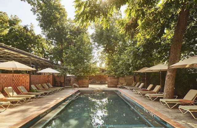 Pet-Friendly Accommodations at The Carpenter Hotel, Outdoor Pool!