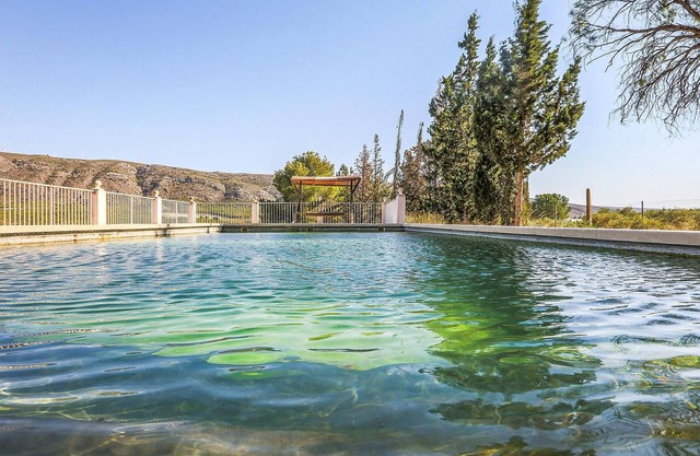 Pet friendly home in Murcia with swimming pool