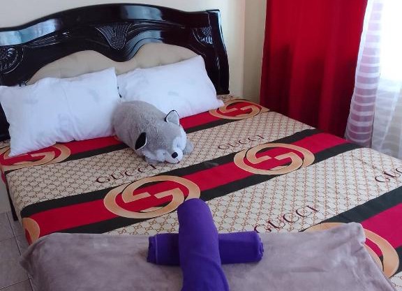 Pet Friendly Transient along Ortigas Extension