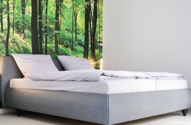 Pfalzzeit - Der Wald