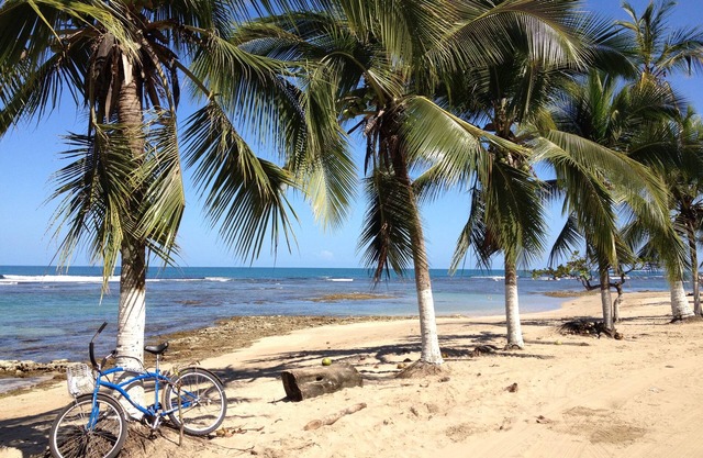 Physis Caribbean Bed & Breakfast