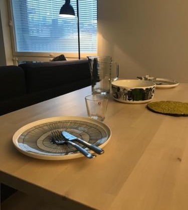 PikkuParlamentti